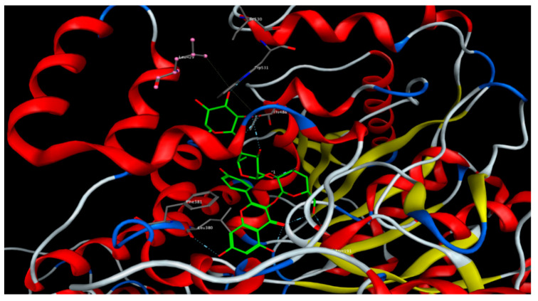 Kaempferol-3-O-β-(2″-O-glucosyl)-rutinoside docked onto the binding site of the fatty acid amide hydrolase (FAAH) enzyme.
