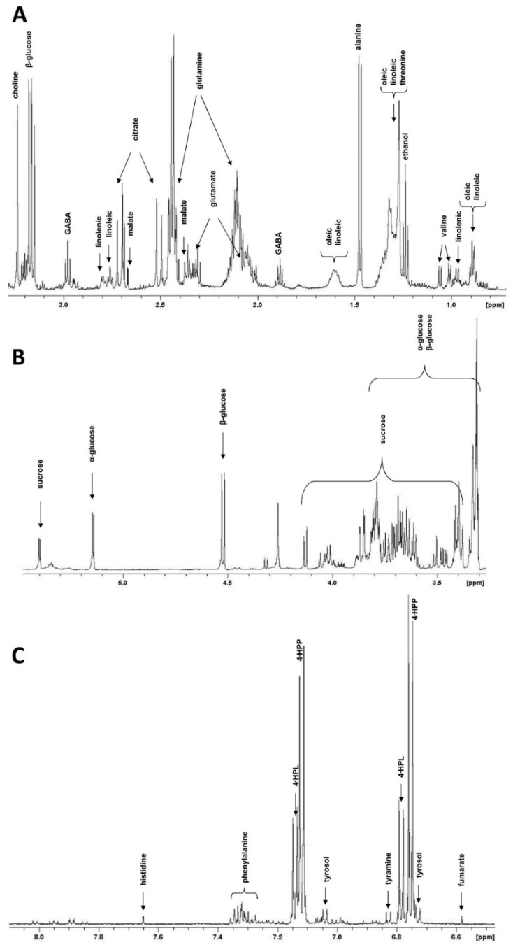 Aliphatic (A), anomeric (B), and aromatic (C) regions of 1H-NMR spectra of the methanol/water extracts from hemp cell suspension culture control samples. The resonance assignments of the main compounds are reported. GABA: γ-aminobutyric acid; 4-HPP: 4-hydroxyphenylpyruvate; 4-HPL: 4-hydroxyphenyllactate.