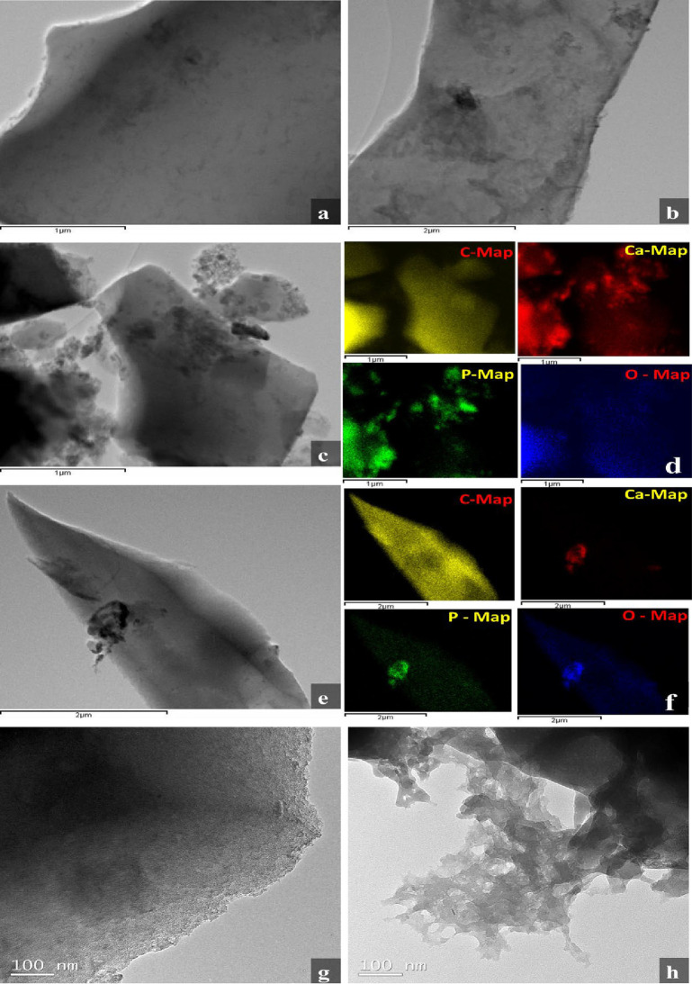Transmission electron micrographs (TEM) of the HAC synthesized with mass ratios of biochar to KOH (1 : 2) (a–d) 450 °C, and (e–h) 800 °C for 1 hr. Images (a–c) are scanning TEM (STEM) images, with (d) showing corresponding X‐ray energy dispersive spectroscopy (EDS) color‐coded maps (carbon, calcium, phosphorus, and oxygen) from regions of interest in (c). STEM image (e) with corresponding EDS color‐coded maps shown in (f). (g and h) show higher magnification of TEM bright field images.