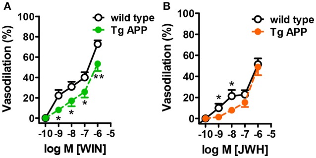 Cannabinoid agonists induce dose-dependent vasodilation. Cannabinoid vasodilation was reduced in Tg APP aortae compared to wt (A,B). Concentration-response curves (1 nM-10 μM) for WIN and JWH were performed in segments preconstricted with U46619 (0.03 μM). Preconstriction levels were similar for all the vessels (approximately 8.9 mN). Results are mean ± SEM of n = 6 mice and are expressed as percentage of U46619-induced contraction. *p < 0.05, **p < 0.01 (two way ANOVA).