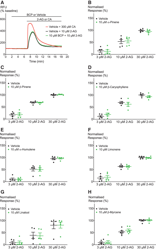 Effects of terpenoids on 2-AG-induced hTRPA1 activation. (A) Representative trace of effects of BCP on hTRPA1 activation by 10 μM 2-AG. (B–H) Terpenoids do not significantly modulate 2-AG-induced hTRPA1 signaling. Two-way ANOVA with Bonferroni's post hoc analysis, N=5–6, mean±SEM. Data presented as % of maximum CA (300 μM) response. Drugs were added for the duration of the bar.