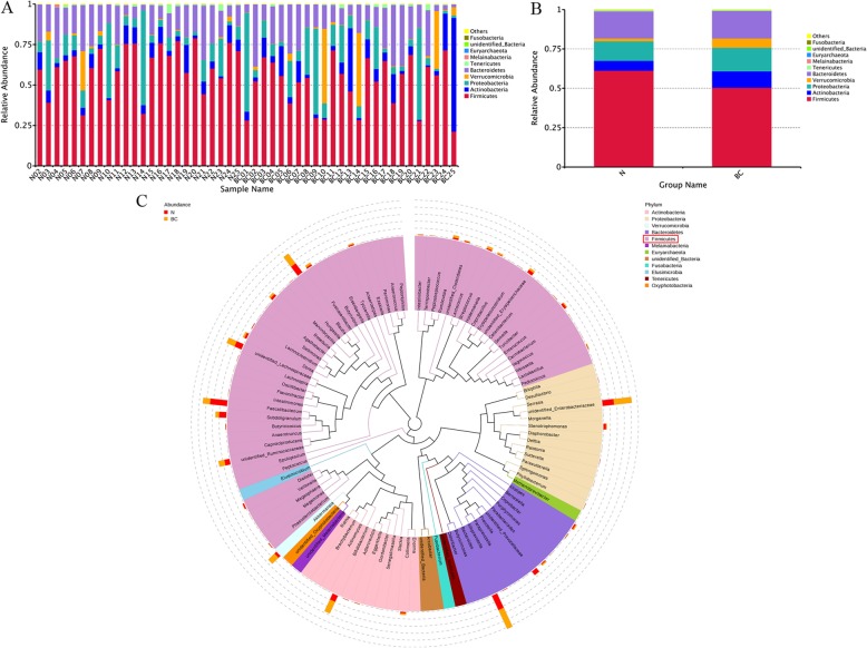 Relative abundance of species. a and b Relative abundance of species at the phylum level. The abscissa is the sample name or group, and the ordinate indicates the relative abundance. c Species evolution tree at Genus. Each color represents a door, and the color of the score indicates its corresponding door