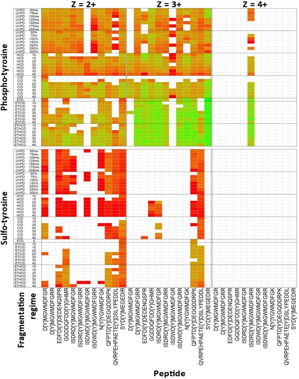 Comparison of site determining ions for sY and pY peptide panel using different fragmentation regimes.The panel of 12 sY- and pY-peptides pools were subjected to LC-MS/MS on the Fusion Lumos Tribrid mass spectrometer (Thermo Fisher) using fragmentation conditions as detailed. Ranging normalised collision energies (NCE) were applied for CID, HCD, ETciD and EThcD as denoted by ‘_X’ (where X = NCE %). ETD component was charge state calibrated. UVPD activation time was either calibrated to molecular weight (%) or manually-set (ms). Data were searched with COMET and the highest scoring PSM selected for further investigation. Heatmap shows log2 ratio of the number of observed MS2 product ions containing the known modification mass shift (Δ80 Da) normalised to the total number of potential PTM-containing product ions. Ions correlating to fragmentation at the same position in the peptide (e.g. a4/b4), y8/y 2+/z8) were collapsed into a single entry. Modification site is depicted by ‘[Y]’, and charge states are visualised separately. Green = all potential mass shift containing product ions detected; red = no potential mass shift containing product ions detected, white = no MS/MS spectra were confidently identified.