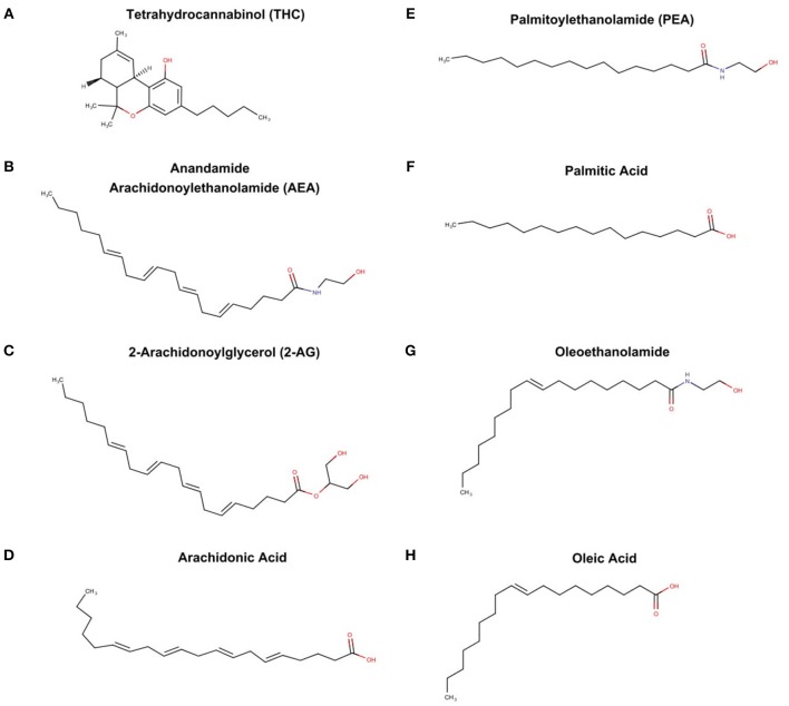 THC from marijuana plant, endocannabinoid, and endocannabinoid-like agents (A) tetrahydrocannabinoid (THC), (B) anandamide arachidonoylethanolamide (AEA), (C) 2-arachidonoylglycerol (2-AG), (D) archidonic acid, (E) palmitoylethanolamide, (F) palmitic acid, (G) oleoethanolamide, and oleic acid (H).
