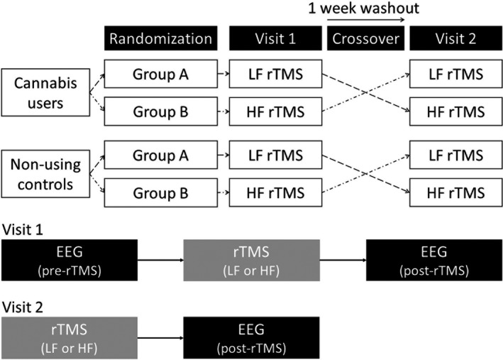 Randomized crossover design of the study. The low and high frequency repetitive transcranial magnetic stimulation sessions were counter‐balanced between the participants. HF, high frequency rTMS (10 Hz); LF, low frequency rTMS (1 Hz).