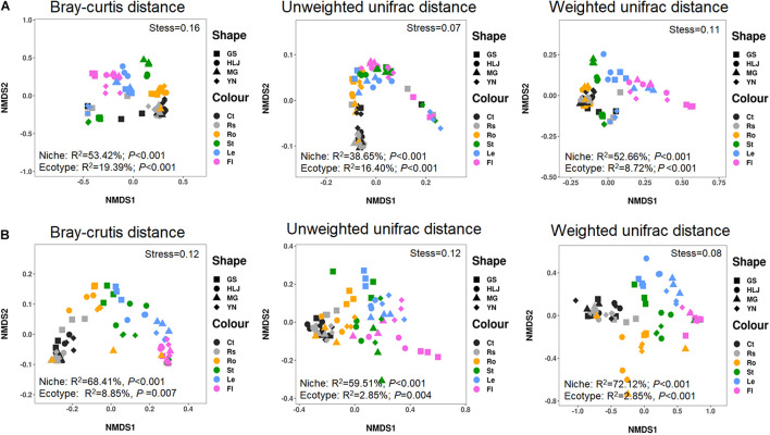 Non-metric multidimensional scaling (NMDS) ordinations of microbial communities associated with hemp plants. (A) Bacteria. (B) Fungi. GS, HLJ, MG, and YN represent Gansuqingshui, Huoma No. 1, Yunmaza No. 1, and Yunnan No. 1, respectively. Ct, Rs, Ro, St, Le, and Fl represent bulk soil, rhizosphere soil, root endosphere, stem endosphere, leaf endosphere, and flower endosphere, respectively.