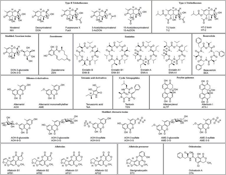 Chemical structures of various mycotoxins are grouped by category. Categories include Type B Trichothecenes, Type A Trichothecenes, Modified Fusarium toxins, Enniatins, Beauvericin, Dibenzo-α-derivatives, Tetramic acid derivatives, Cyclic Tetrapeptides, Perylen quinones, Modified Alternaria toxins, Aflatoxins, Aflatoxin precursor, and Ochratoxins. Each compound is labeled with its chemical name and abbreviation.