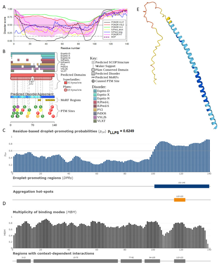 Functional disorder analysis of human α-synuclein (UniProt ID: P37840). (A), Multiparametric disorder analysis of the protein using RIDAO. The outputs of PONDR® VLXT, PONDR® VSL2, PONDR® VL3, PONDR® FIT, IUPred long, and IUPred short are shown by black, red, green, pink, blue, and yellow lines, respectively. Mean disorder profile (or mean disorder prediction, MDP), calculated as an average of outputs of these six predictors, is shown by dashed dark pink line, whereas error distribution is shown as light pink shadow. In this per-residue disorder analysis, a disorder score was assigned to each residue. A residue with disorder score equal to or above 0.5 is considered disordered, and a residue with disorder score below 0.5 is predicted to be ordered. Residues/regions with disorder scores between 0.15 and 0.5 were considered ordered but flexible. The corresponding thresholds are shown by solid (0.5) and long-dashed lines (0.15). (B) Functional disorder profile generated for α-synuclein by the D2P2 database showing the outputs of several disorder predictors such as VLXT, VSL2b, PrDOS, IUPred, and Espritz. The colored bar highlighted by blue and green shades represents the disorder prediction; yellow zigzagged bars show positions of MoRFs, whereas colored circles at the bottom of the plot show the positions of predicted PTMs, such as phosphorylation (red circles marked P), sumoylation (green circles marked S), acetylation (yellow circles marked A), glycosylation (orange circles marked G), and ubiquitylation (violet circles marked U). (C) The FuzDrop-generated plot shows the sequence distribution of the residue-based droplet-promoting probabilities, pDP, for human α-synuclein. (D) The FuzDrop-generated plot of the multiplicity of binding modes shows positions of regions that can sample multiple binding modes in a cellular context (sub-cellular localization, partners, posttranslational modifications)-dependent manner. (E) 3D structural model as predicted by AlphaFold. The structure is colored according to the per-residue model confidence score (pLDDT) ranging from orange to blue, where fragments of structure with very high (pLDDT > 90), confident (90 > pLDDT > 70), low (70 > pLDDT > 50), and very low (pLDDT < 50) pLDDT scores are shown by blue, cyan, yellow, and orange colors, respectively.