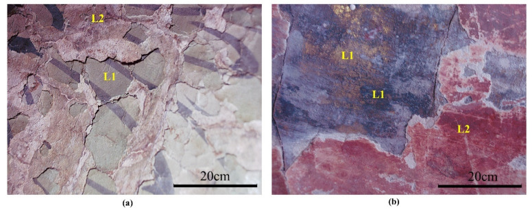 The in situ microphotographs of multiple paint layers: (a) at the sculpture of Ananda Buddha in the Xiasibei Hall (XSBD); (b) at the sculpture of Bodhisattva Manjusri in the Xiasinan Hall (XSND).