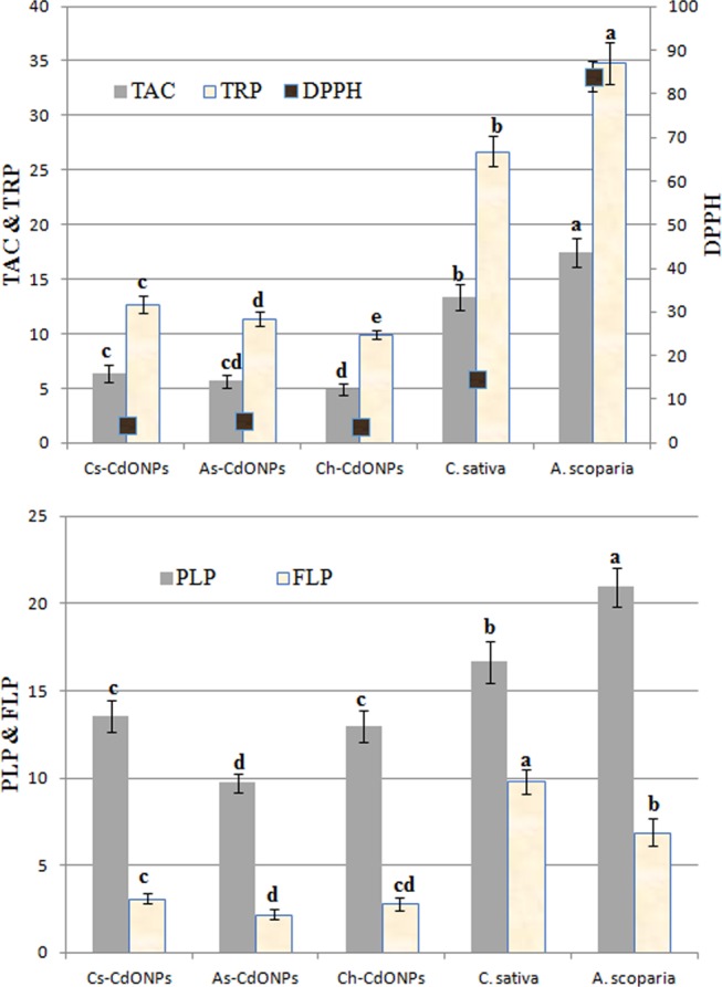 Antioxidative properties of CdO NPs and plant extract. As: A. scoparia, Cs: C. sativa, As-CdO NPs: Artemesia-synthesized CdO NPs, Cs-CdO NPs: Cannabis-synthesized CdO NPs, Ch-CdO NPs: chemically synthesized CdO NPs. Values are presented as mean ± standard error. Different small letters on each column show a significant difference between values.
