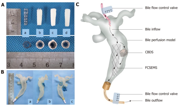 Pictures of stents and common bile duct model. A: Picture of covered nitinol stent and drug-eluting stents manufactured by dip coating, coaxial electrospinning, and dip coating combined with electrospinning (a: Covered nitinol stent without drug load; b: Drug-eluting stent manufactured by dip coating; c: Drug-eluting stent manufactured by coaxial electrospinning; d: Drug-eluting stent manufactured by dip coating combined with electrospinning); B: In vitro common bile duct (CBD) model manufactured by 3D printing technology (a: Front view; b: Lateral view; c: Back view, one stent and one stone can be put inside the model through the hole on the back); C: Picture illustrating dissolution of biliary stone in flowing bile in bile perfusion model. One stent and one CBD stone (mass in 100 mg) were put into the CBD model together and a total of 1000 mL human bile was perfused into each CBD model every day, that is, 1000 mL human bile will flow through the stent and stone every day. In this way, we get to know whether our stent can exert the stone-dissolving effect in flowing bile. CBD: Common bile duct; CBDS: Common bile duct stone.