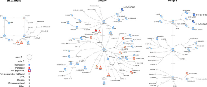Lipid networks, illustrating the effect of fitness and weight loss intervention on plasma metabolite concentrations in overnight‐fasted adult women (preexercise bout time point). The biochemical network displays precursor‐product relationships for fatty acids, oxylipins (OxL) and endocannabinoids (eCB) for related subclasses of fatty acid precursors including saturated and monounsaturated, omega‐6 and omega‐3 polyunsaturated fatty acids. The magnitude, direction and significance of postintervention differences are denoted by node size, border or fill colors (red, higher concentration postintervention versus preintervention; blue, reduced concentration postintervention vs. preintervention), respectively. Significant changes are shown for lipids with p ≤ .05 from Kruskal–Wallis nonparametric tests. Nonmeasured or undetected species are displayed in gray symbols with no borders