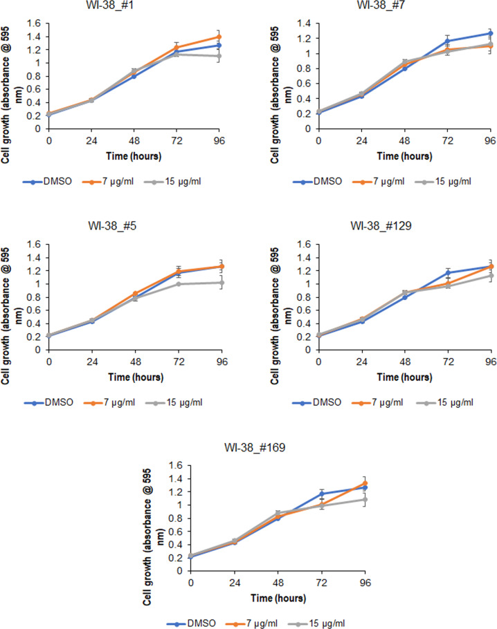 Effect of the selected cannabis extracts on the proliferation of human lung fibroblasts.MTT assay was performed in WI-38 cells treated with the indicated extracts, 0.025% DMSO served as a control.