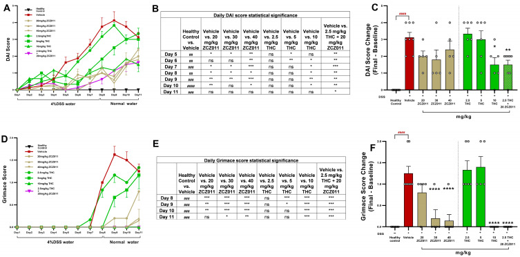 Effects of ZCZ011, THC and their combination on DAI and grimace scores in a DSS-induced acute colitis model. (A) Daily progression of the disease activity index (DAI) score in DSS-challenged mice treated with vehicle, ZCZ011 (20, 30 or 40 mg/kg), THC (2.5, 5 or 10 mg/kg) or a combination of 2.5 mg/kg THC with 20 mg/kg ZCZ011. (B) Statistical significance of daily DAI score. (C) Change in DAI score (final score minus baseline) at the study endpoint (day 11). (D) Daily progression of grimace scores reflecting pain behaviours. (E) Statistical significance of daily grimace score. (F) Change in grimace scores (final score minus baseline) at the study endpoint. Data are presented as mean ± SEM. #### p < 0.0001, ### p < 0.001, ## p < 0.01 vs. healthy control; **** p < 0.0001, *** p < 0.001 ** p < 0.01, * p < 0.05 vs. DSS vehicle group. ns—not statistically significant.