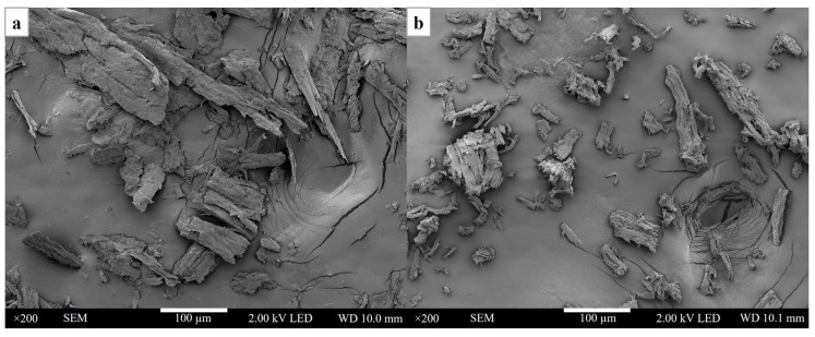 The microstructure of cellulose from hemp: (a) nano-grinded hemp and (b) cellulose nanocrystals.