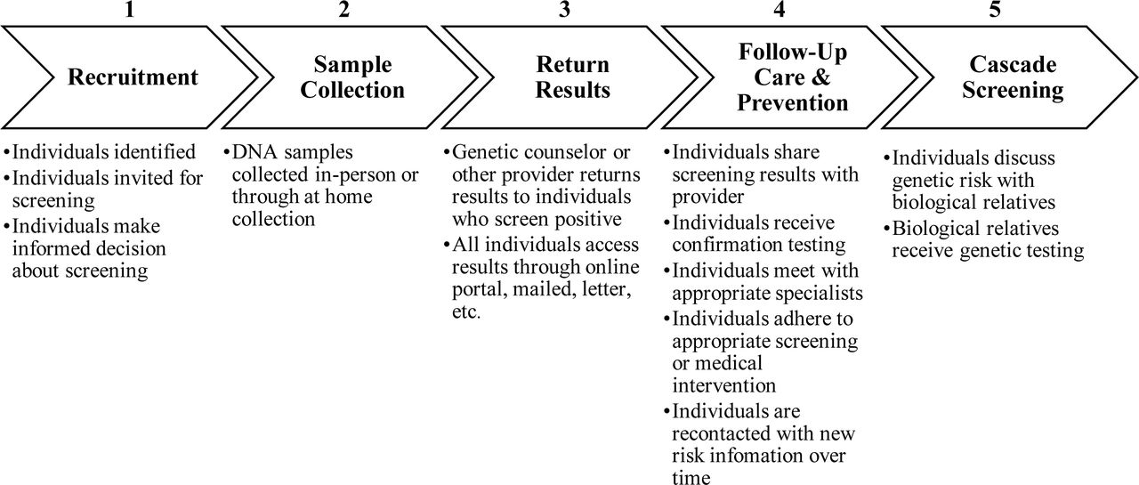 Five major stages of population genetic screening