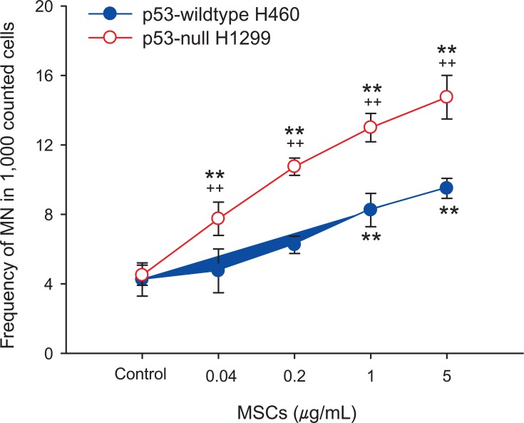 Micronuclei (MN) formation induced by marijuana smoke condensates (MSCs) in H460 cells and H1299 cells. The cells were incubated with MSCs (0.04-5 µg/mL) in BEGM supplemented with 5% fetal bovine serum for 24 hours. The assays were carried out as described in materials and methods. MN frequency per 1,000 cells of control is 5.00±0.82. The results are expressed as mean±SD. Values were significantly different from each control (0.1% DMSO; **p < 0.01) or each concentration of MSCs in H1299 cells (††p < 0.01).