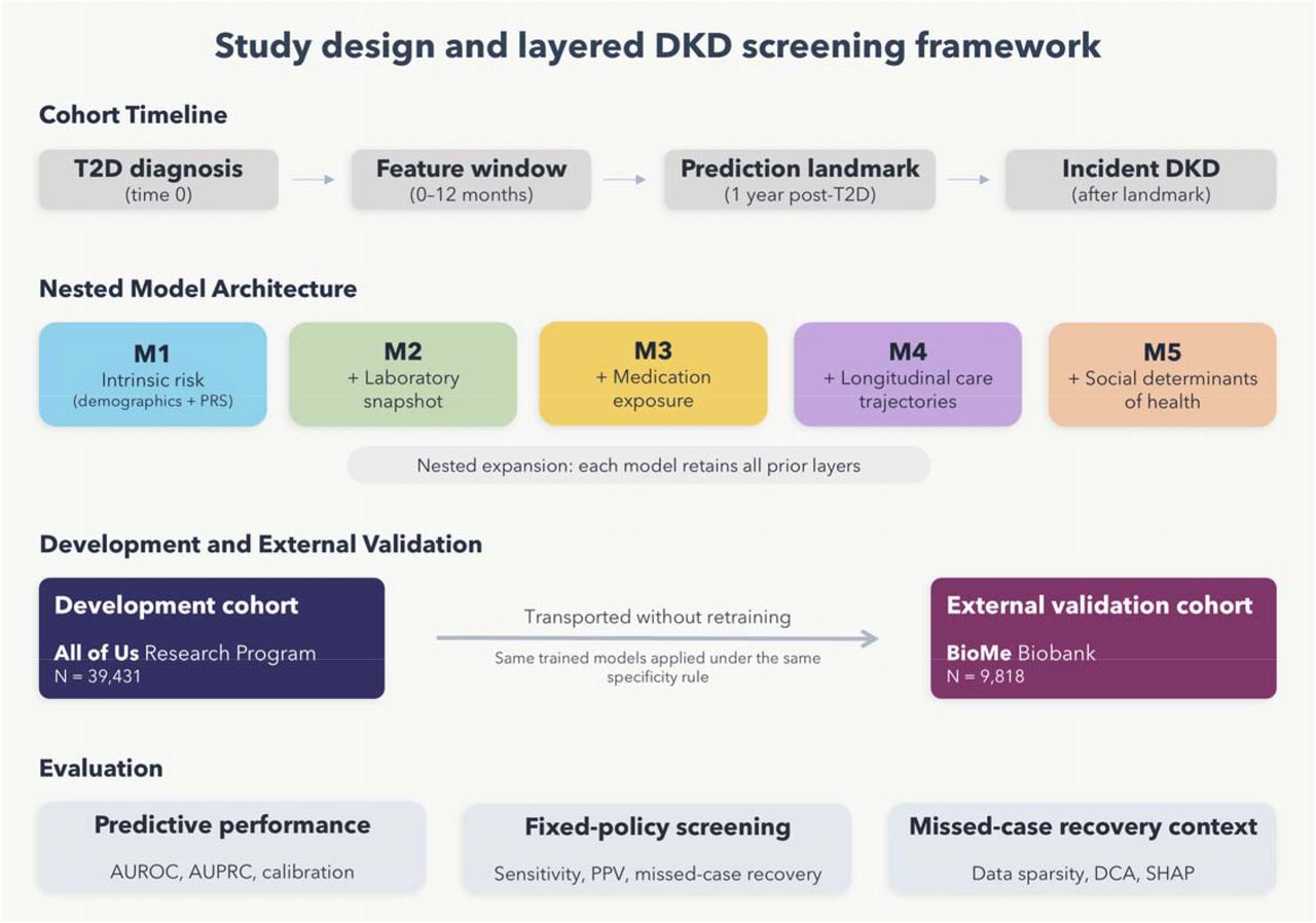 Study design and layered DKD screening frameworkThe top row defines the cohort timeline, in which predictors are derived from clinical data collected between T2D diagnosis and the 1-year landmark, and incident DKD is ascertained after the landmark. The second row depicts the nested model architecture, in which five successive models sequentially incorporate intrinsic risk, laboratory snapshot features, medication exposure, longitudinal care trajectories, and social determinants of health, while retaining all features from prior layers. The third row summarizes model development in the All of Us Research Program (N = 39,431) and external validation in the BioMe Biobank (N = 9,818), where the same trained models and risk thresholds were applied without retraining. The bottom row highlights the three evaluation domains: predictive performance, fixed-policy screening, and missed-case recovery context.DKD, diabetic kidney disease; T2D, type 2 diabetes; PRS, polygenic risk scores; AUROC, area under the receiver operating characteristic curve; AUPRC, area under the precision-recall curve; PPV, positive predictive value; SHAP, SHapley Additive exPlanations.