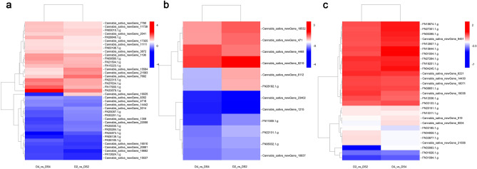 Heatmap of the DEGs in starch and sucrose metabolism, nitrogen metabolism and plant hormone signal transduction metabolism between D and DS. The expression level changes of genes in each group were described as log2 fold change of FPKM. Colors indicated up- and down-regulated levels of genes. Uniconazole-induced expression patterns of 39 starch and sucrose metabolism genes under drought stress (a). Uniconazole-induced expression patterns of 12 nitrogen metabolism genes under drought stress (b). Uniconazole-induced expression patterns of 28 plant hormone signal transduction metabolism genes under drought stress (c). D2_vs_DS2 means drought stress for 2 days/drought stress treated with uniconazole for 2 days; D4_vs_DS4 means drought stress for 4 days/drought stress treated with uniconazole for 4 days. The heatmap was drawn using the BMKCloud tools (Biomarker Technologies Co., Ltd., Beijing, China) (https://international.biocloud.net/zh/software/tools/heatmap/-1/-1).