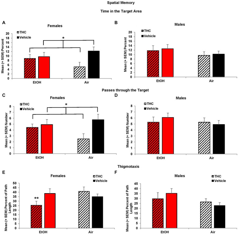 Female offspring exposed to prenatal THC showed impaired performance during the probe trial, spending less time in the target area (A) and fewer passes through the target (C). Female offspring exposed to combined alcohol and THC prenatally were less thigmotaxic (E). No differences were observed among male offspring (B,D,F). *THC < no THC, p < 0.01; **EtOH + THC < EtOH + Vehicle and Air + THC, p’s < 0.05.