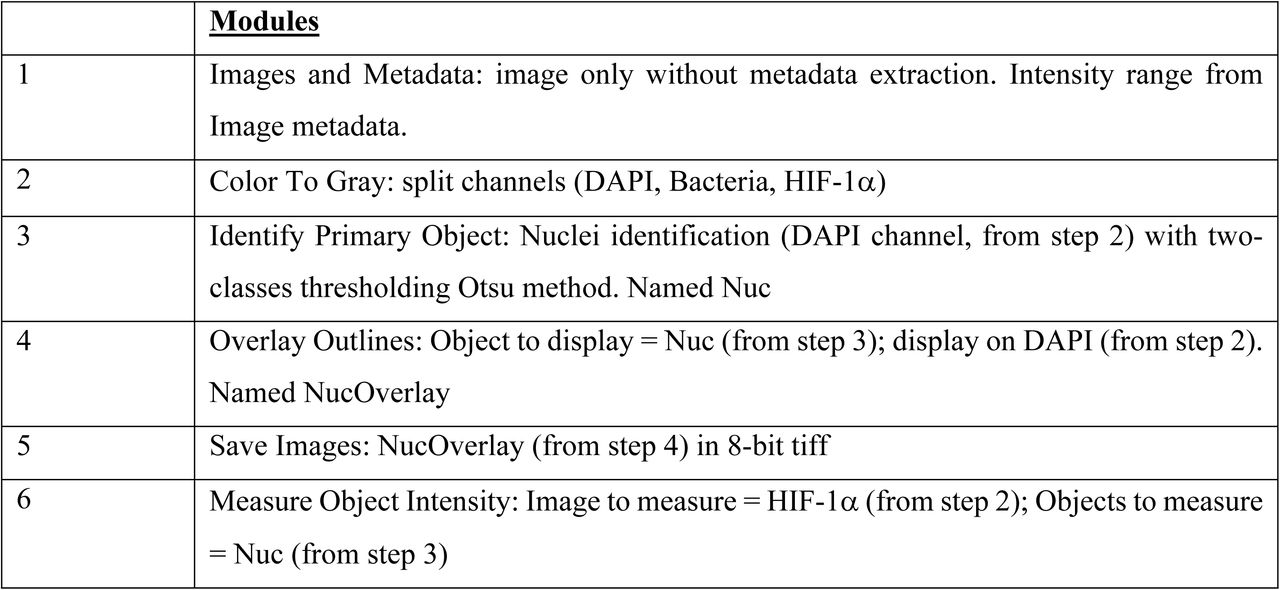 Pipeline used to determine HIF-1α level in EA.hy926 nuclei.