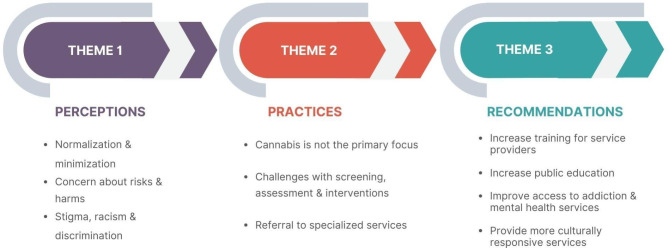 Focus group themes and subthemes