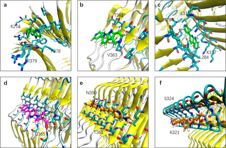 Binding mode of tracers at the surface sites of CBD tau. (a) Binding mode of PI2620 at s1. (b) Binding mode of PI2620 at s5. (c) Binding mode of PI2620 at s12. (d) Binding mode of CBD2115 at s6. (e) Binding mode of PM-PBB3 at s8. (f) Binding mode of PM-PBB3 at s10. The heavy atoms of residues within 5 Å of the tracer heavy atoms are displayed.