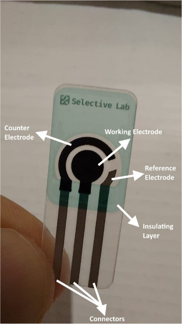 A screen-printed electrode and its different parts