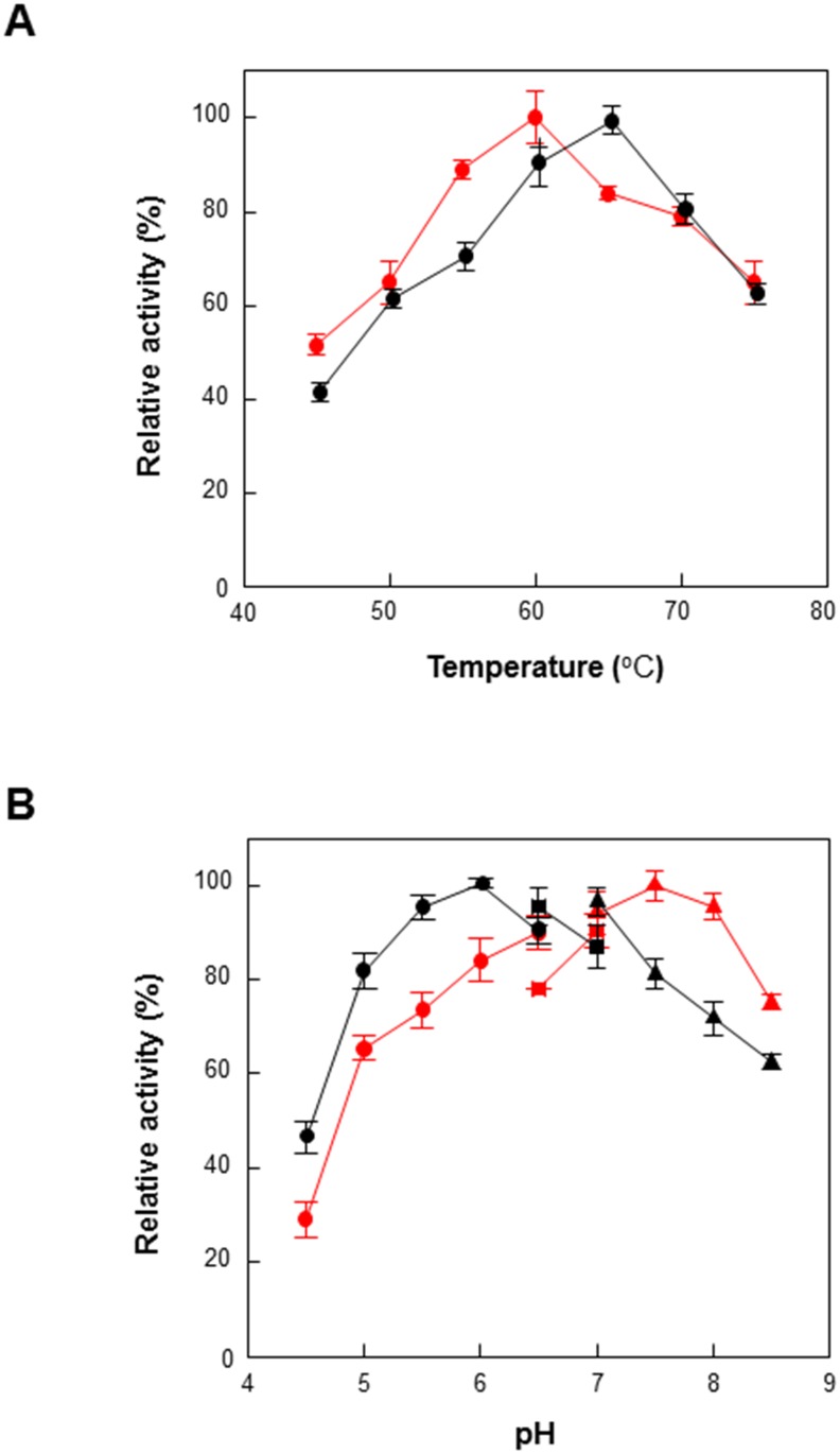 Effects of pH and temperature on enzyme activity of GusA (red) and GusA-CBD (black).(A) Temperature: Reactions were performed in 50 mM HEPES buffer (pH 7.5) containing 0.5 mM pNPGA, 0.2 U mL-1 of enzyme for 5 min. (B) pH: The reactions were performed in 50 mM sodium acetate (closed circles) or 50 mM K-phosphate buffer (closed squares) or 50 mM HEPES buffer (closed triangles) containing 0.5 mM pNPGA, 0.2 U mL-1 of enzyme at 60°C for 5 min. Data represent the means of three experiments and error bars represent standard deviation. The relative activities of 100% gusA and gusA-CBD were 102 ± 4.3 and 19 ± 0.6 U mg–1, respectively.