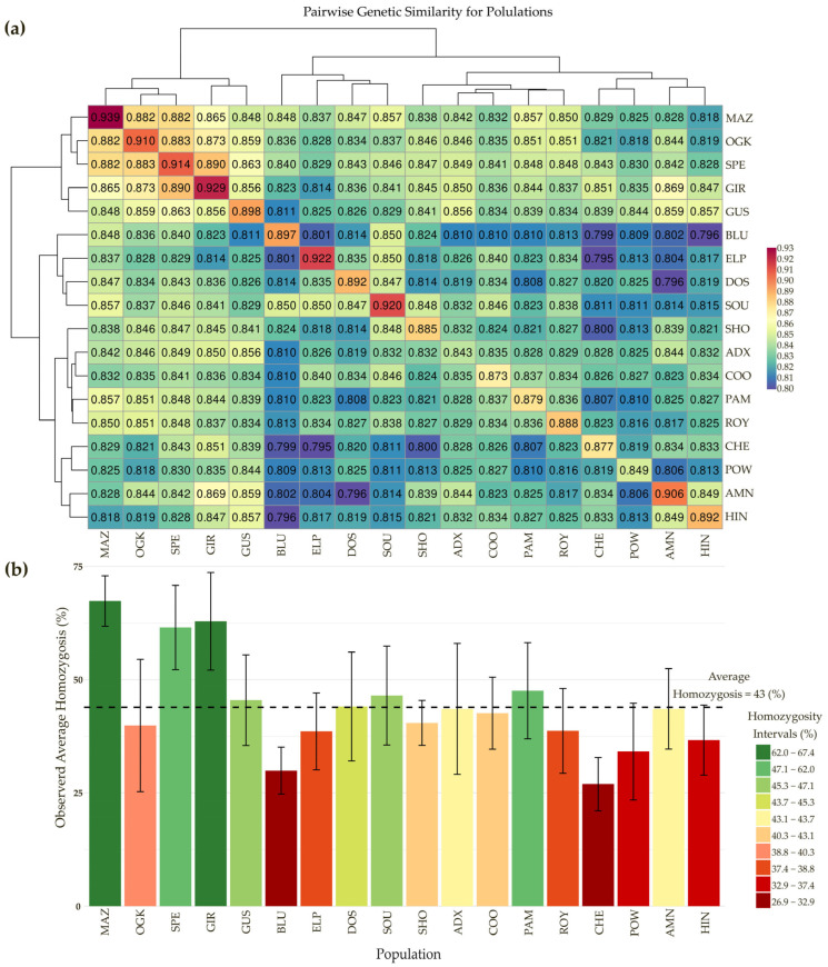 (a): Genetic similarity (GS) matrix for the 171 purchased samples from 20 varieties clustered into 17 populations and 1 admixed group (ADX) representing all the non-assigned samples; the internal GS is shown in the diagonal cells, and the GS between populations in the intersections. (b): For each genetically distinct population and the admixed group (ADX), the average observed homozygosity (Hom) is also reported as an average with the respective standard deviation. Variety IDs can be found in Supplementary Table S1.
