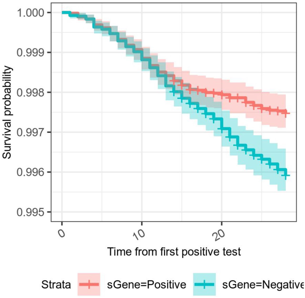 A Kaplan-Meier survival curve for S-gene positive (previously-circulating variants) and S-gene negative (VOC-202012/1) infections in the UK. The y axis has been clipped as mortality in both groups is low.