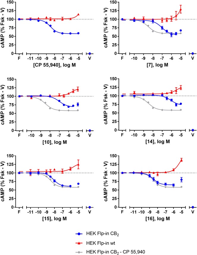 cAMP signalling in HEK Flp-in hCB2 and HEK Flp-in wt cells in response to CP 55,940 and 2,4,6-trisubstituted 1,3,5-triazines. Concentration-response curves for modulation of cAMP concentration in HEK Flp-in hCB2 and HEK Flp-in wt cells (showing both hCB2- and non-hCB2-mediated effects) on stimulation with 5 μM forskolin and CP 55,940 or test compounds (other than 13). Concentration-response curves were generated by plotting measurements at 5 min post-drug addition. These data were then normalised to vehicle-treated (V; 0%) and forskolin alone (F, Fsk; 100%). Data are presented as mean ± SEM from three independent experiments.