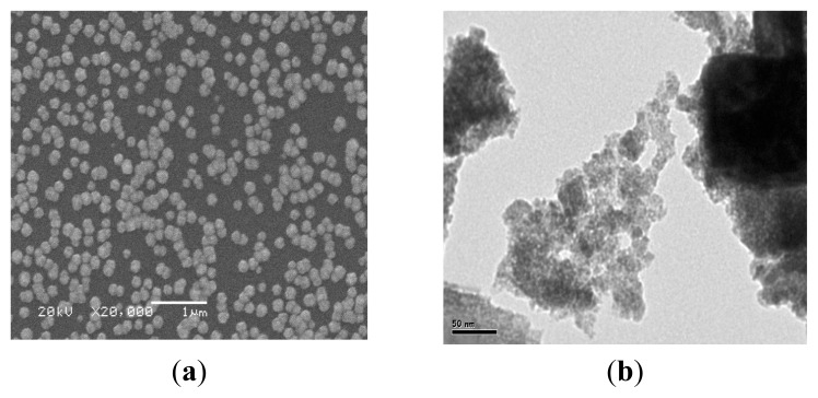 Surface morphology of (Bi2S3)(PbS) thin films, (a) SEM; (b) TEM.