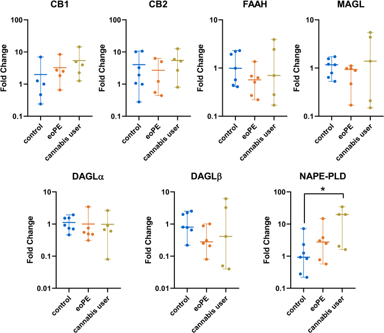 mRNA levels of endocannabinoid system components in term control (n=7), early onset preeclampsia (eoPE, n=6), and cannabis user (n=5) central villous placental biopsies. Data are shown as median and range and represent fold-change vs term control. *P<0.05 vs control (Dunn multiple comparison test). CB1 indicates cannabinoid receptor 1; CB2, cannabinoid receptor 2; DAGLα, 1,2-diacylglycerol lipase α; DAGLβ, 1,2-diacylglycerol lipase β; eoPE, early onset preeclampsia; FAAH, fatty acid amide hydrolase; MAGL, monoacylglycerol lipase; and NAPE-PLD, N-acyl phosphatidylethanolamine-specific phospholipase D.