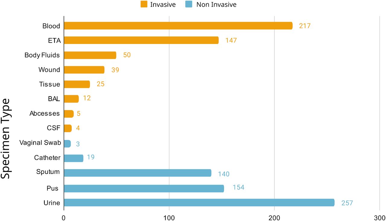 Distribution of specimen types, classified as invasive and non-invasive, from which Klebsiella pneumoniae was recovered.