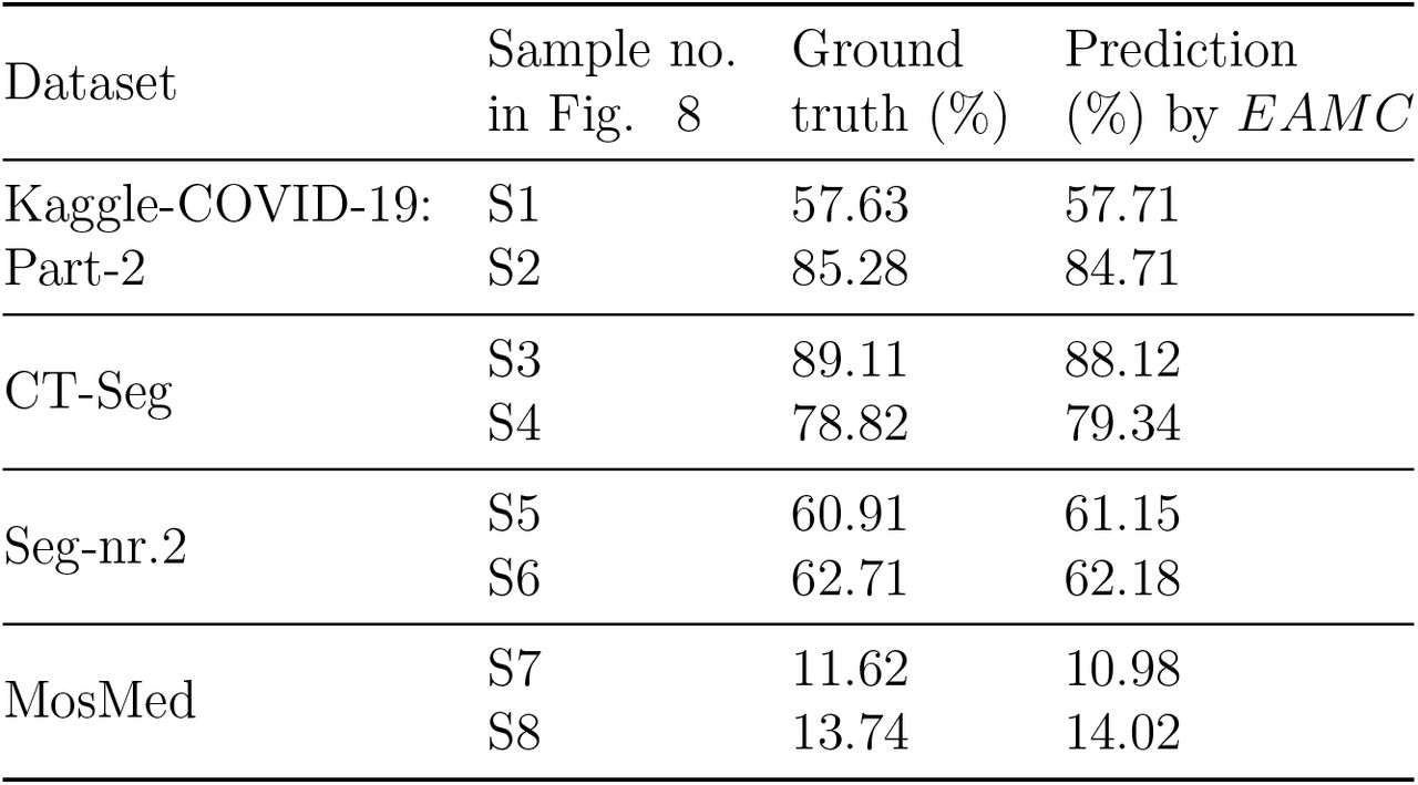 Prediction of affected region, by EAMC, considering two samples slices from each test dataset