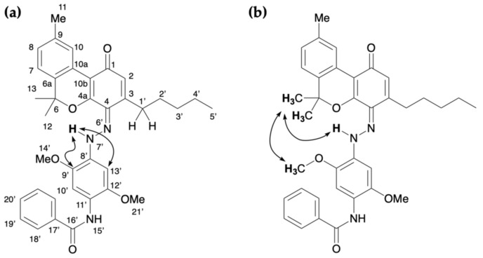 Key correlations for 3: (a) HMBC and (b) NOESY.