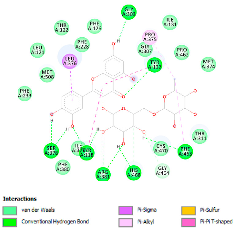 Rutin interactions with Lanosterol 14-α-demethylase active site; Non-bonding interactions of rutin with Lanosterol 14-α-demethylase enzyme.