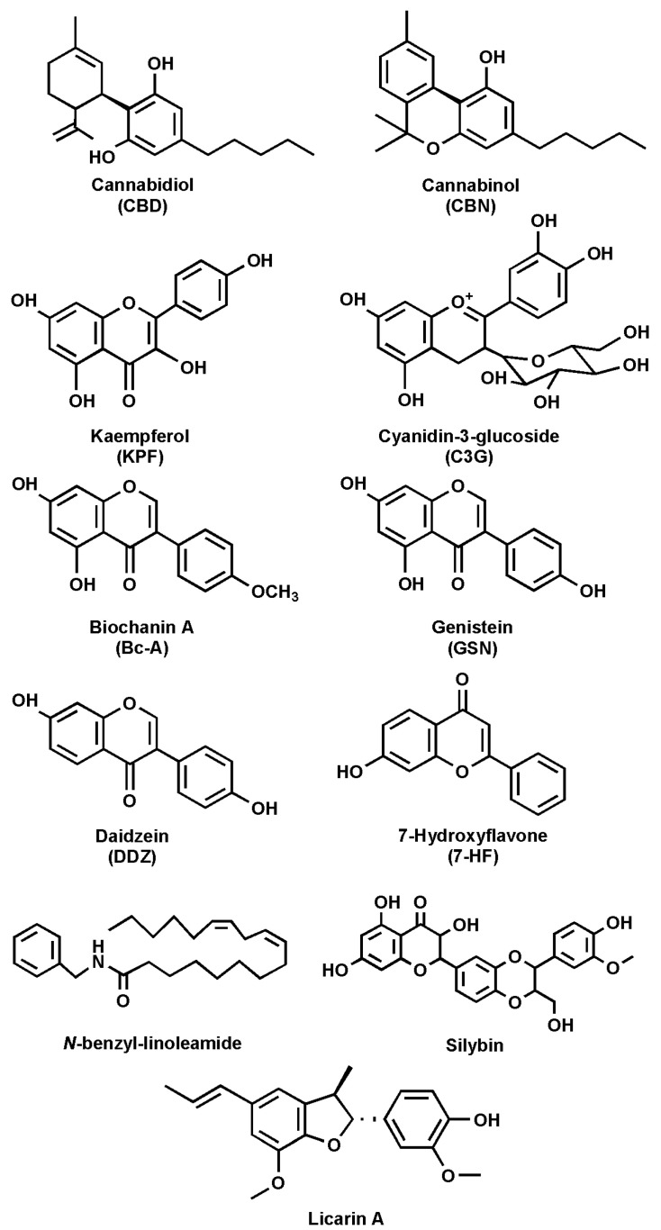 Chemical structures of the main natural FAAH inhibitors.