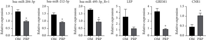 The relative expression levels of hsa-miR-204-3p, hsa-miR-212-5p, hsa-miR-495-3p_r+1, LEP, GREM1, and CNR1 were verified by qRT–PCR (∗ vs. OM, P < 0.05, n = 3).