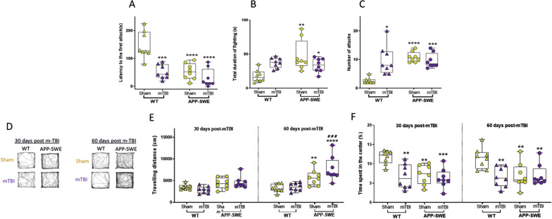 Effects of mTBI on aggressiveness and locomotion in WT or APP-SWE mice. A–C show the latency to the first attack (s), duration of fighting (s) and the number of attacks in the resident intruder test. D shows representative tracks of the total travelled distance in each group of mice in the open field. E, F show the total travelling distance (cm) and the time spent in the centre (s) in the open field test. Data are shown as mean ± SEM of 8 mice per group, 30 and 60 days post mTBI induction. Two-way ANOVA or Two-way ANOVA for repeated measures were performed for the resident intruder test and OFT 30–60 days post-mTBI, respectively. Dunnett’s or Sidak’s post hoc tests were applied for multiple comparisons inter- or intra- group, respectively (*indicates significant differences compared to WT sham; # indicates significant differences compared to the same group at 30 days post mTBI)