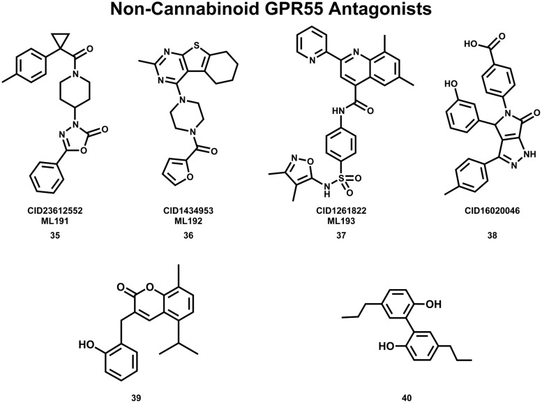 Non-Cannabinoid antagonists that inhibit GPR55 signaling are shown here.