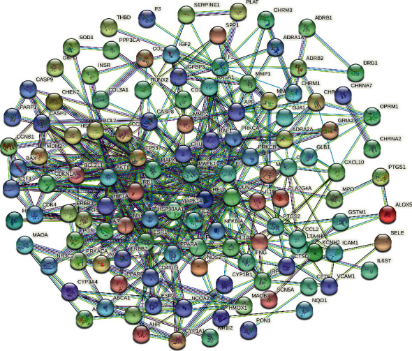 PPI network of constituents, common disease targets.