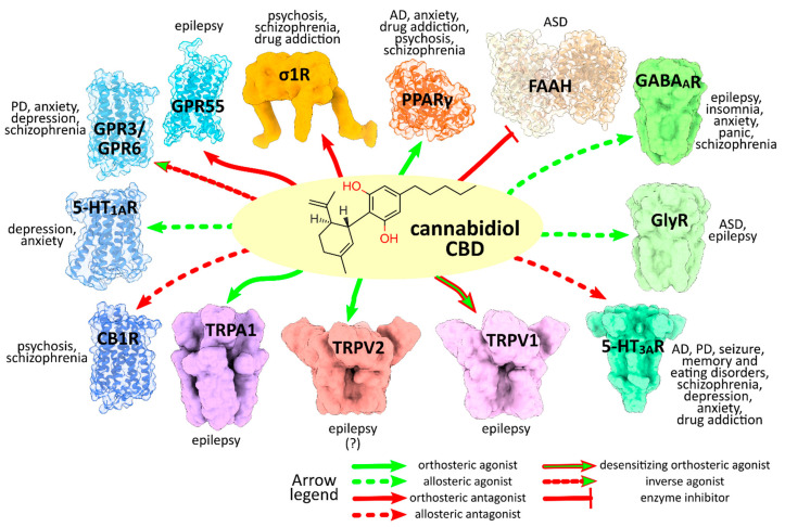 Activity pattern of CBD on target proteins related to neuropsychiatric disorders. The different regulatory activities exhibited by CBD are indicated by colored arrows as explained in the legend. The main neuropsychiatric disorders associated to each target are also reported. Abbreviations: Alzheimer’s Disease (AD), Parkinson’s Disease (PD), Autism Spectrum Disorders (ASD).