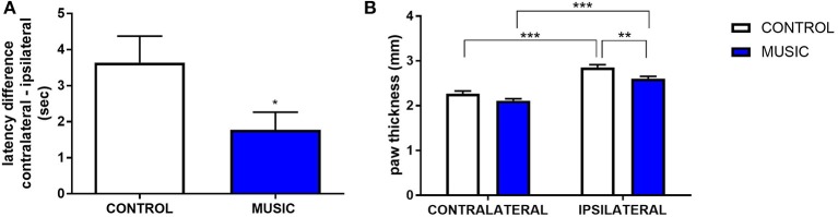 Analgesic effects of music-based intervention in the carrageenan model of inflammatory pain in CF-1 mice. (A)—effects of 21-day exposure to the Mozart playlist (MUSIC–blue; CONTROL–white) on paw withdrawal latency difference. Latency differences (contralateral PWL–ipsilateral PWL) show that hyperalgesia was observed in animals exposed to control conditions and music-exposed mice show a reduced latency difference.*P < 0.05. (B)—Effects of music-based intervention on paw thickness (edema) following carrageenan administration in CF-1 mice. Edema was observed following carrageenan in animals exposed to control conditions whereas music-exposed animals show a diminished edema (MUSIC–blue; CONTROL–white). **P < 0.01, ***P < 0.001. N = 5–8 per group. Data were analyzed using either a t-test (A) or a two-way ANOVA followed by a Bonferroni post-hoc test (B).