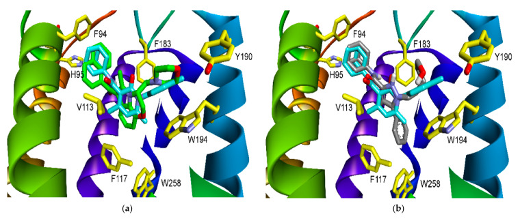 (a) Superposition of docked 8d (cyan) with bound agonist WIN 55,212-2, (green) in the activated CB2R complex (residues in yellow); (b) Superposition of docked 8d (cyan) with bound antagonist AM10257, (gray) in the activated CB2R complex (residues in yellow).