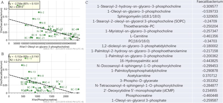 Correlation Analysis of Faecalibacterium and phospholipid metabolites. a Correlation coefficient between Faecalibacterium and 1-Oleoyl-sn-glycero-3-phosphocholine. b Correlation coefficient between Faecalibacterium and phosphocreatine. c Correlation coefficient between Faecalibacterium and some phospholipid metabolites