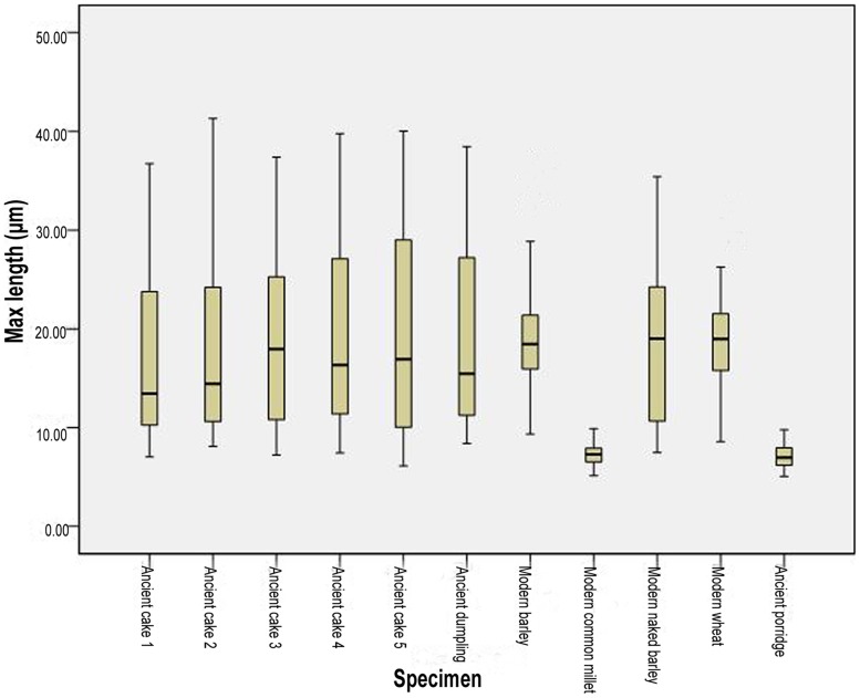 Comparison of starch size ranges (maximum length) between archaeological samples and modern references.