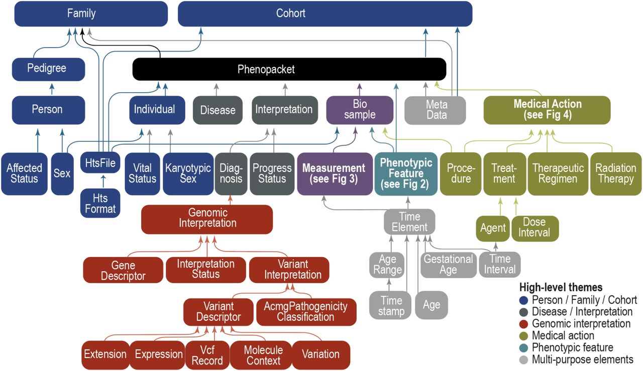 Phenopacket schema overview.The GA4GH Phenopacket schema consists of several optional elements, each of which contains information about a certain topic such as phenotype, variant, pedigree, etc. One element can contain other elements, which allows a hierarchical representation of data. For instance, the Phenopacket contains elements of type Individual, PhenotypicFeature, Biosample, and so on. Individual elements can therefore be regarded as building blocks that are combined to create larger structures. Colors represent the major themes of elements within the schema. See Figures 2, 3, and 4 for specifications of the PhenotypicFeature, Measurement, and Medical Action elements.