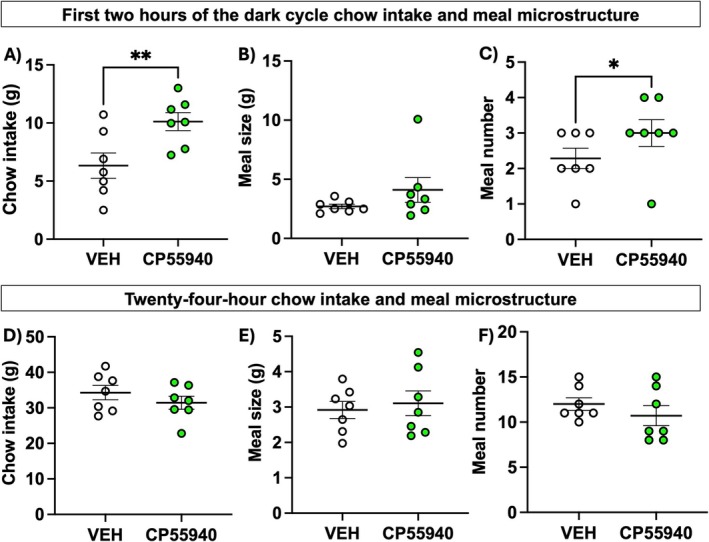 Edible cannabinoid receptor agonist CP55940 acutely promotes eating behavior via an increase in meal number (n = 7/treatment). Male rats increased standard chow intake over the first 2 h of the dark cycle (A). Meal pattern analyses revealed hyperphagia was mediated not by an increase in meal size (B) but by an increase in meal number (C). However, over the course of 24 h, there were no differences in overall chow intake (D), meal size (E), or meal number (F). Data were analyzed by paired two‐tailed Student's t‐test and are means +/− SEM; *p < 0.05, **p < 0.01.